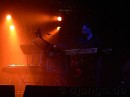 P1010513webbln